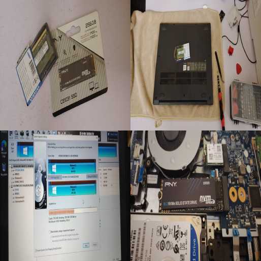 Windows Installation